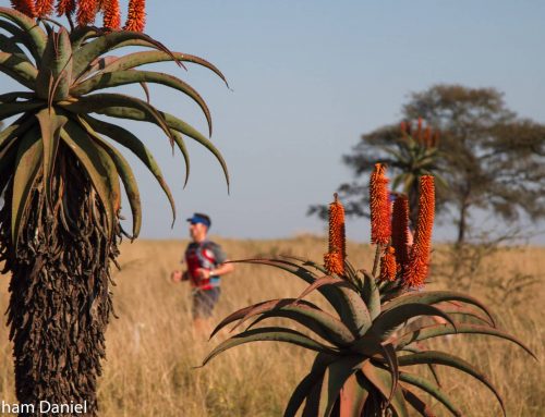 Trail series concludes in epic final